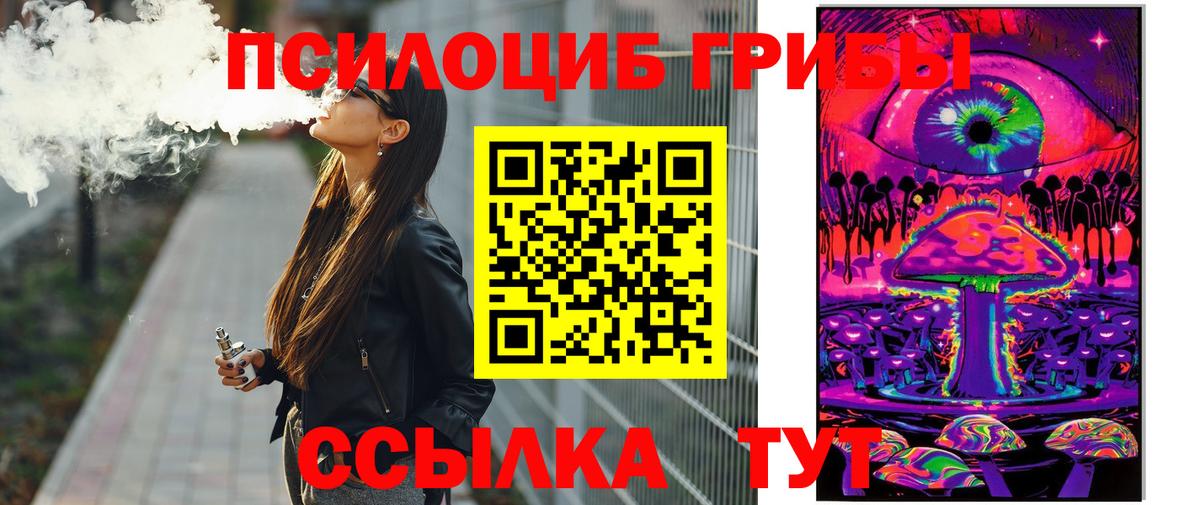 Псилоцибиновые грибы мухоморы Тверь